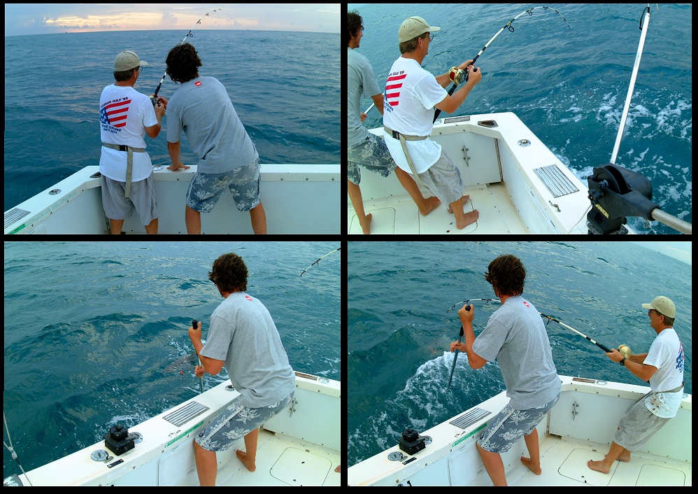 (10) montage (fishing).jpg   (998x706)   353 Kb                                    Click to display next picture